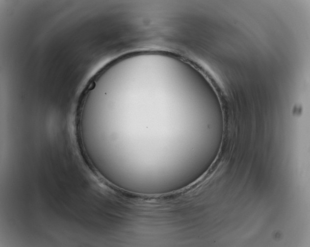 X0000103151460200808221116