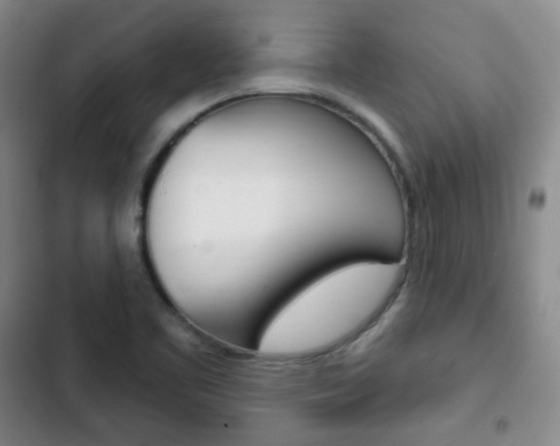 X0000103151461200808221116