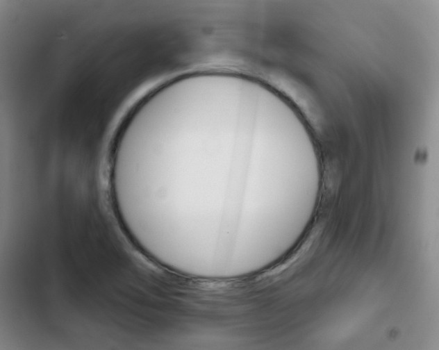 X0000103151462200808221116