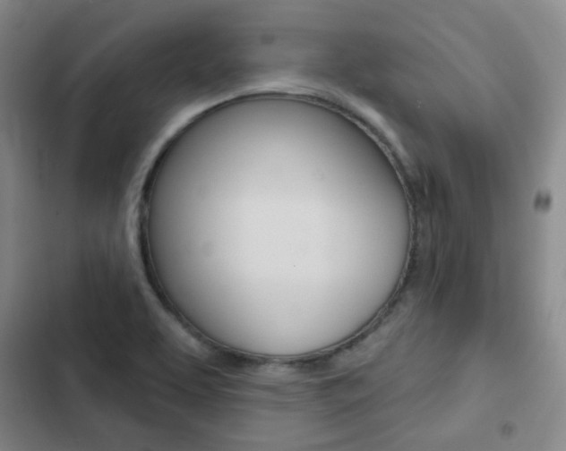 X0000103151463200808221116