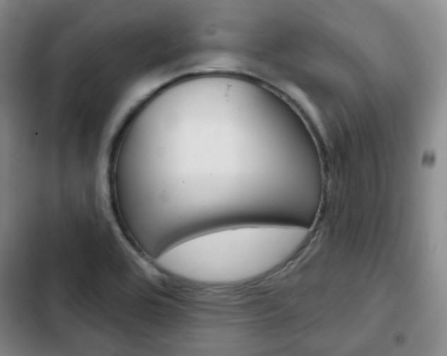 X0000103151464200808221116