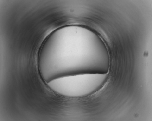 X0000103151465200808221116