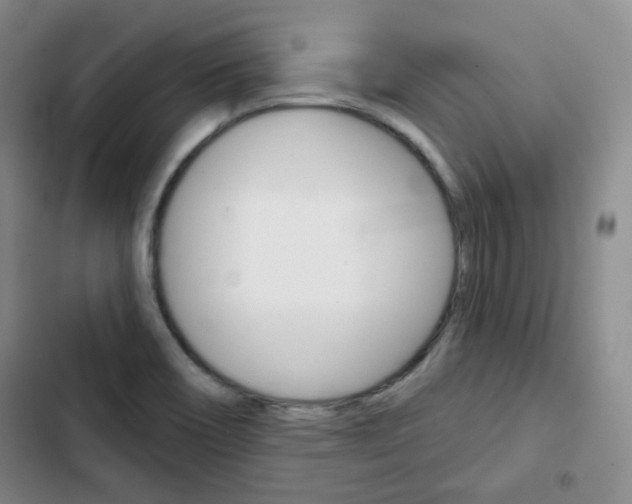 X0000103151466200808221116