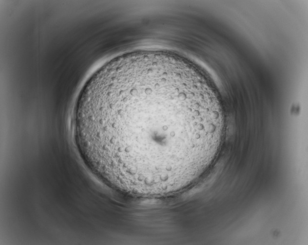 X0000103151467200808221116