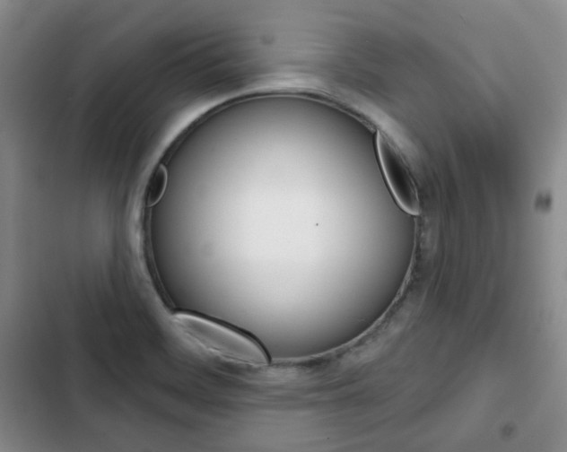 X0000103151468200808221116