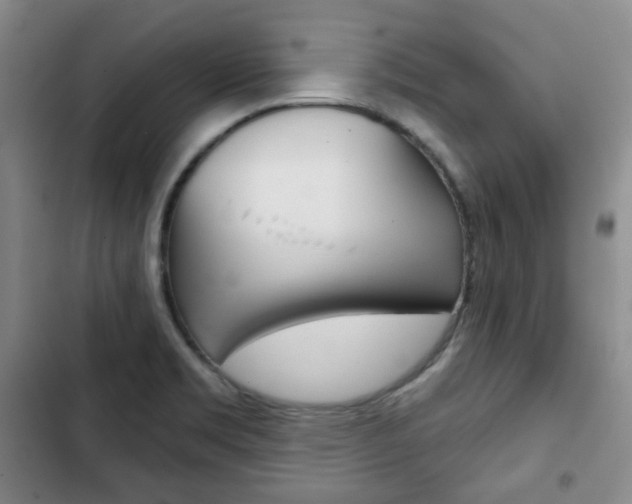 X0000103151469200808221116