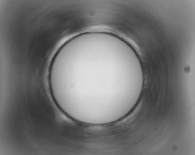 X0000103151470200808221116