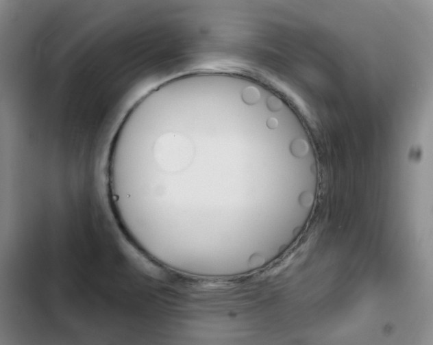 X0000103151471200808221116