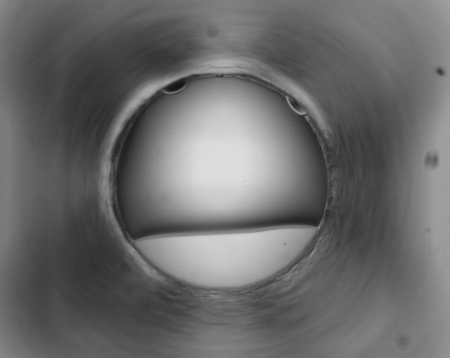 X0000103151472200808221116