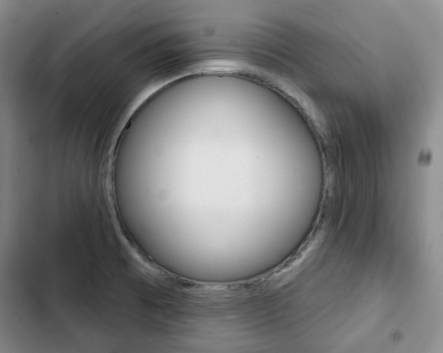 X0000103151473200808221116