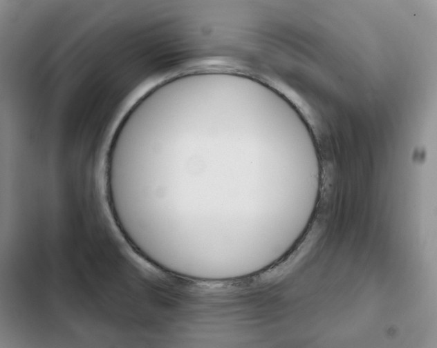 X0000103151474200808221116