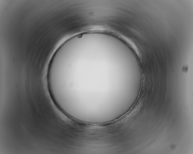 X0000103151475200808221116