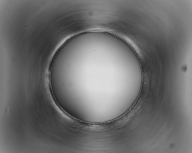 X0000103151476200808221116