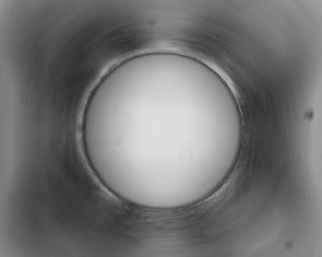 X0000103151477200808221116