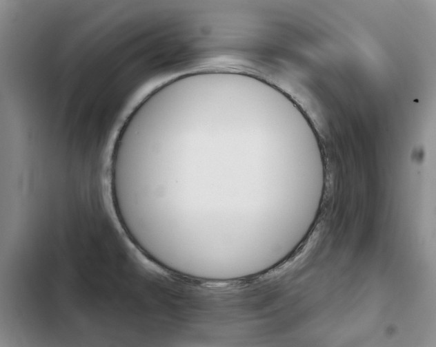 X0000103151478200808221116