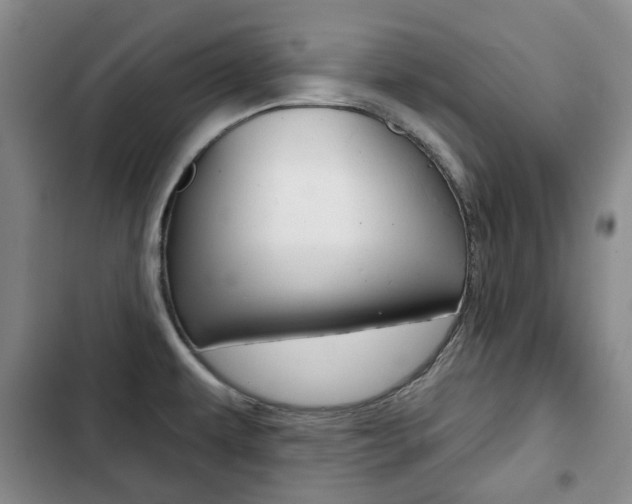 X0000103151479200808221116