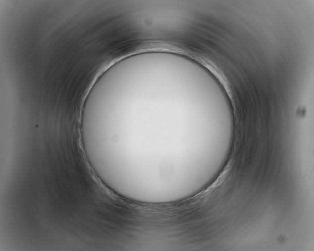 X0000103151481200808221116