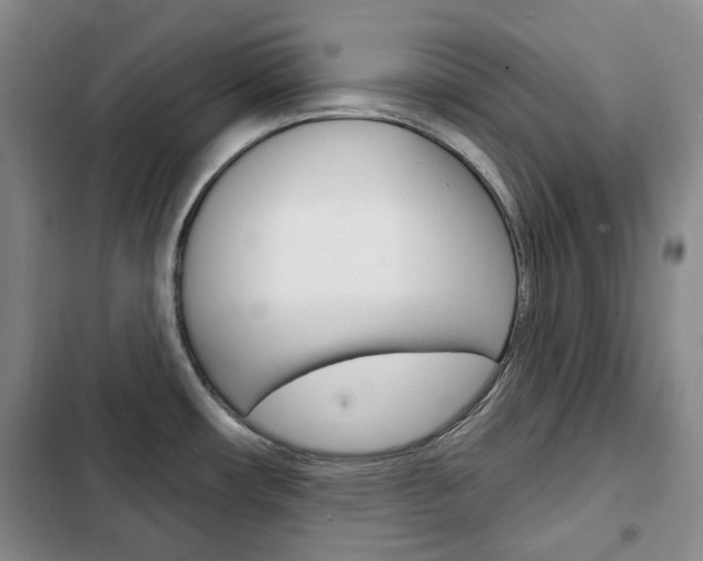 X0000103151482200808221116