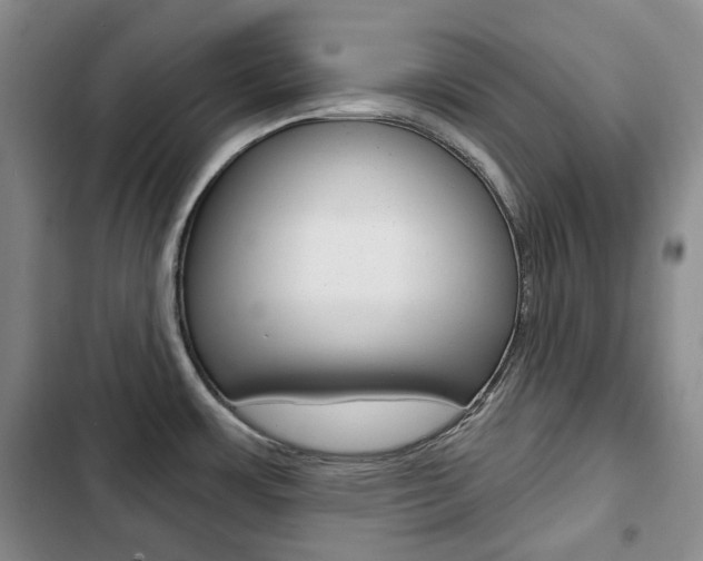 X0000103151483200808221116