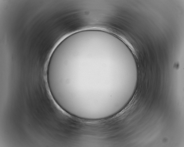 X0000103151484200808221116