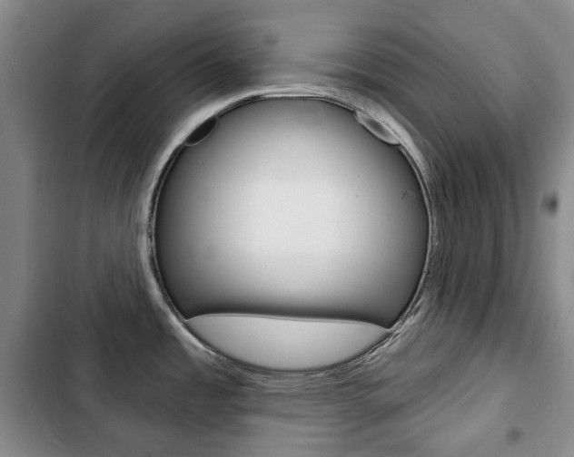 X0000103151485200808221116