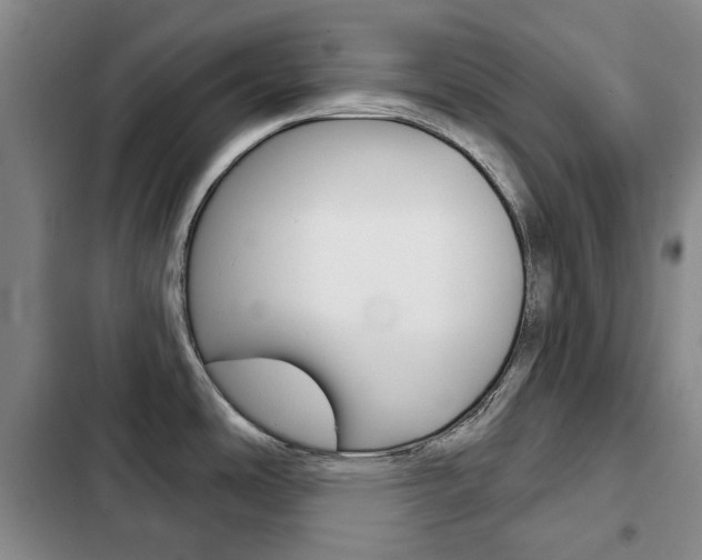 X0000103151486200808221116
