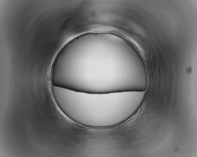X0000103151487200808221116