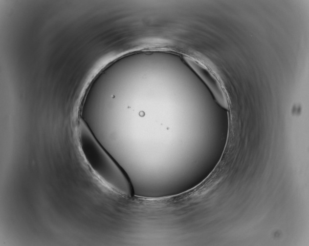 X0000103151488200808221116