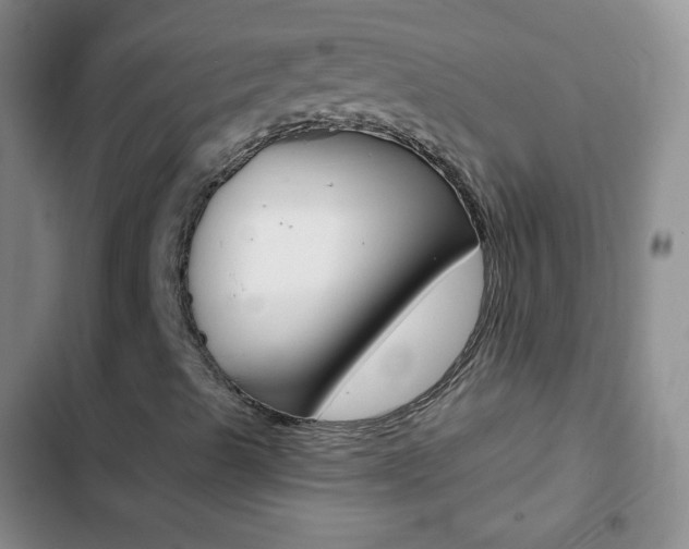 X0000103151489200808221115