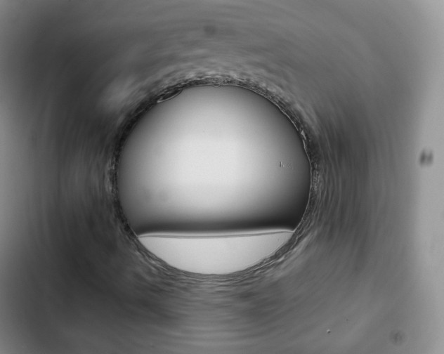 X0000103151490200808221115