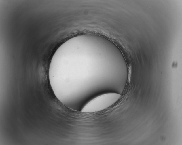 X0000103151491200808221115