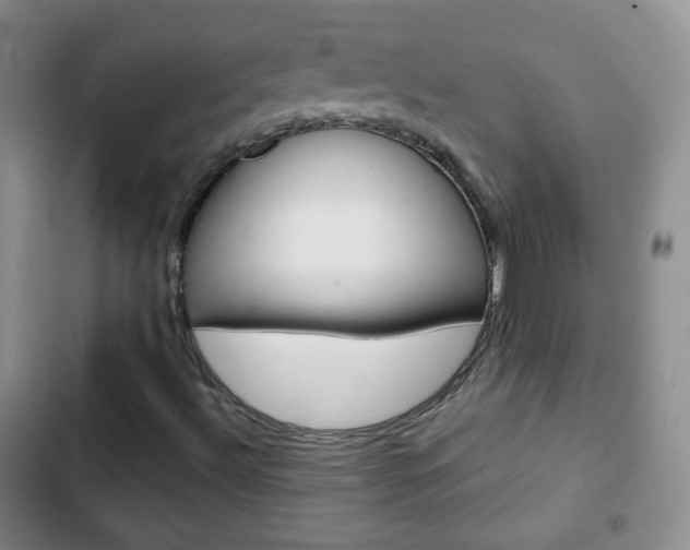 X0000103151492200808221115