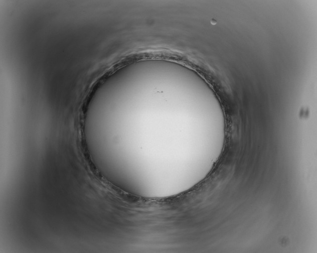 X0000103151493200808221115
