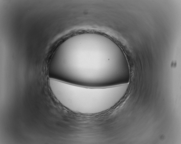 X0000103151494200808221115