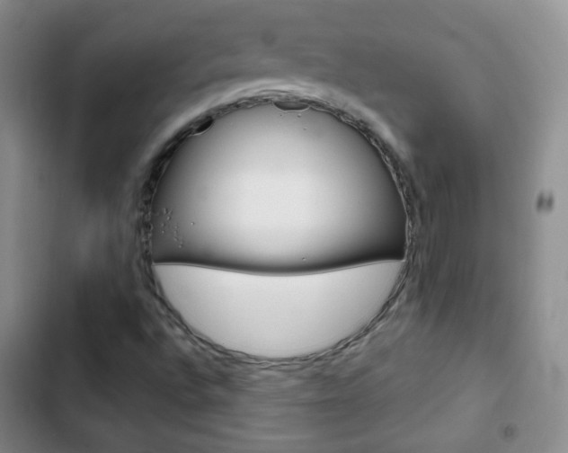X0000103151496200808221115