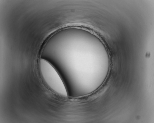 X0000103151497200808221115