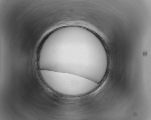 X0000103151498200808221115