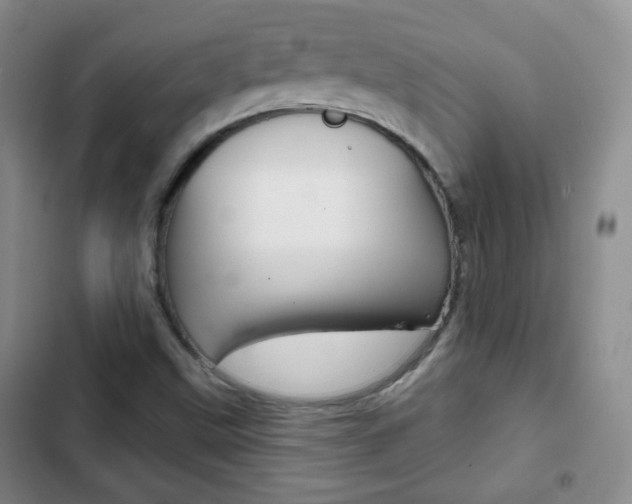 X0000103151499200808221115