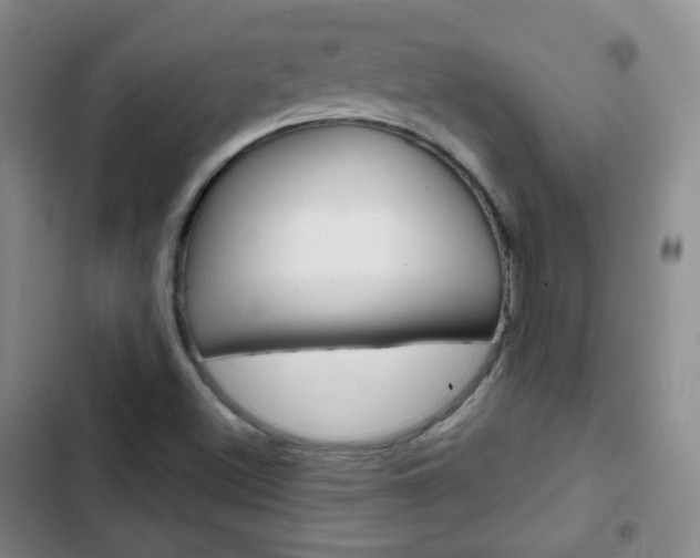 X0000103151500200808221116