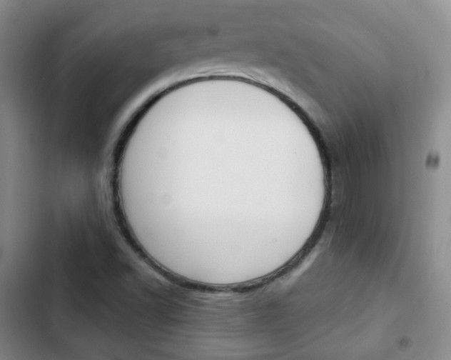 X0000103151502200808221116