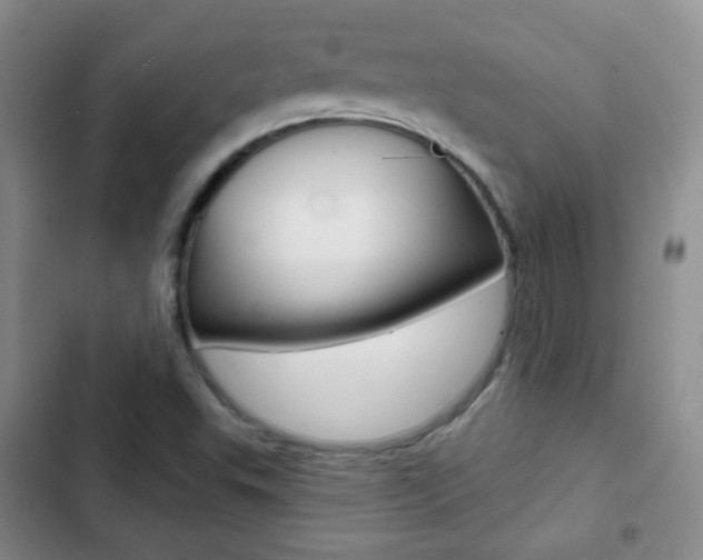 X0000103151503200808221116
