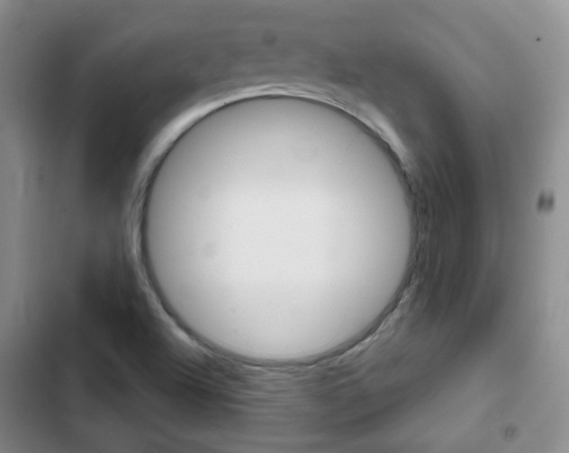X0000103151504200808221116