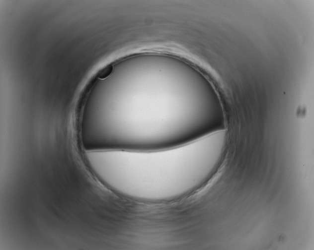 X0000103151506200808221116