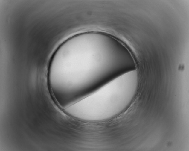X0000103151508200808221116