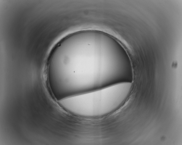 X0000103151510200808221116