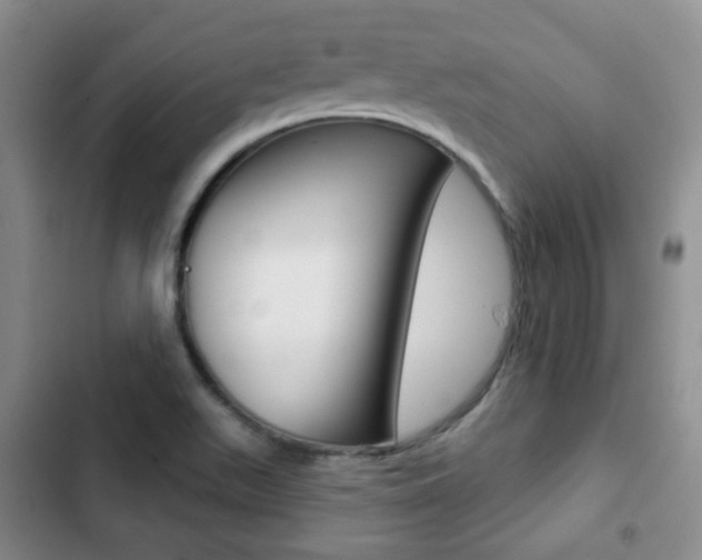 X0000103151511200808221116