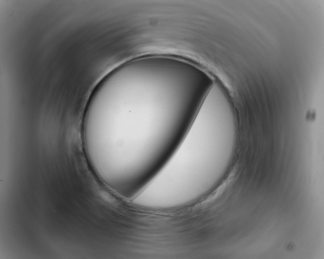 X0000103151513200808221116