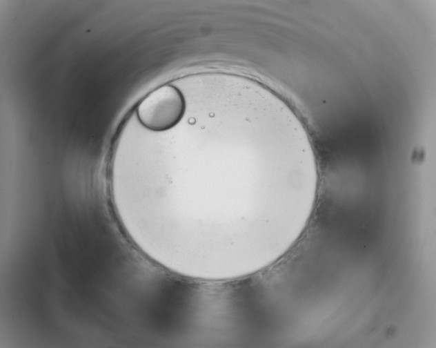 X0000103151514200808221116