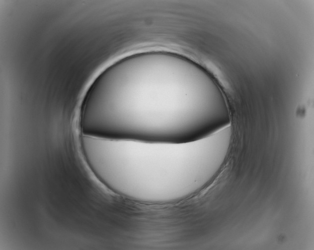 X0000103151516200808221116