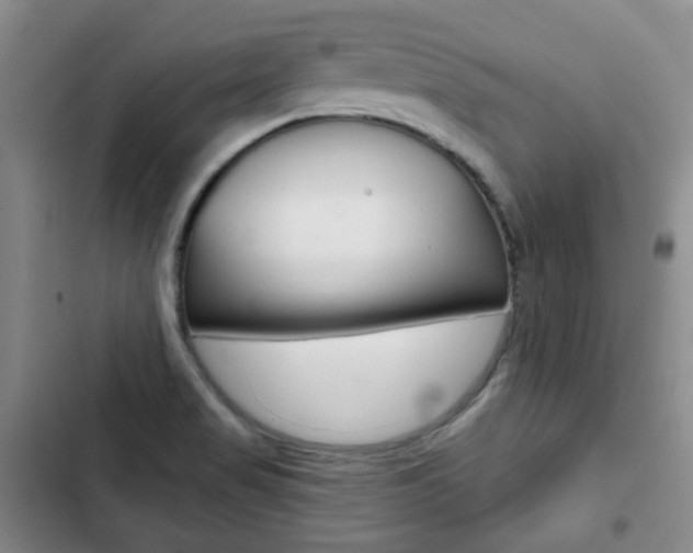 X0000103151517200808221116
